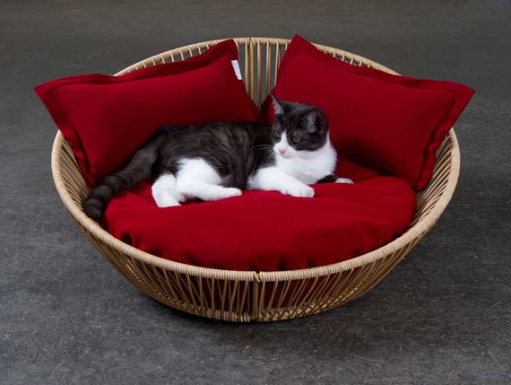 Exclusieve kattenmand SIRO design by Pet-Interiors | 70 cm