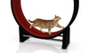 Kat in beweging. Loopwiel voor katten | CanadianCat Company wit